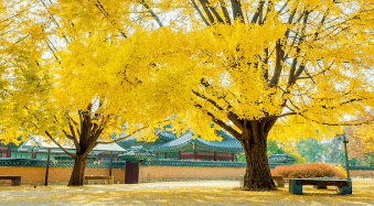 2023λ
λ¨νμκΈ° μμΈ‘μ§λ