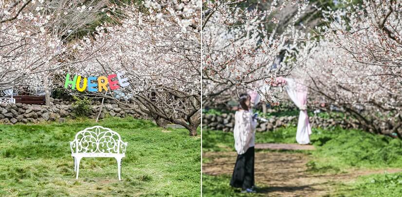 봄 축제 가볼만한 곳