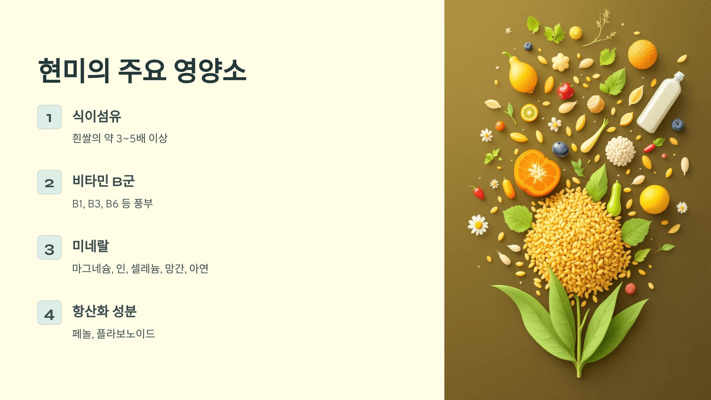 현미 사진입니다.