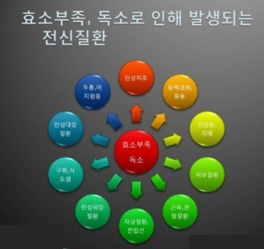 효소부족,독소로인한 질환