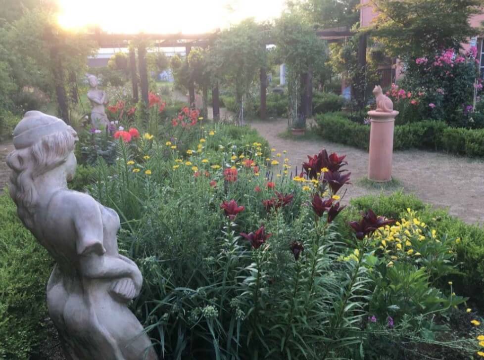 고성하늬팜라벤더축제