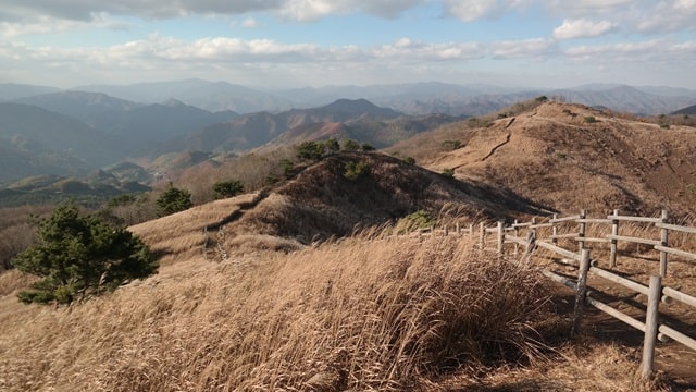 코레일 기차여행