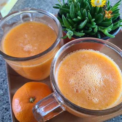 사과귤주스-만드는방법