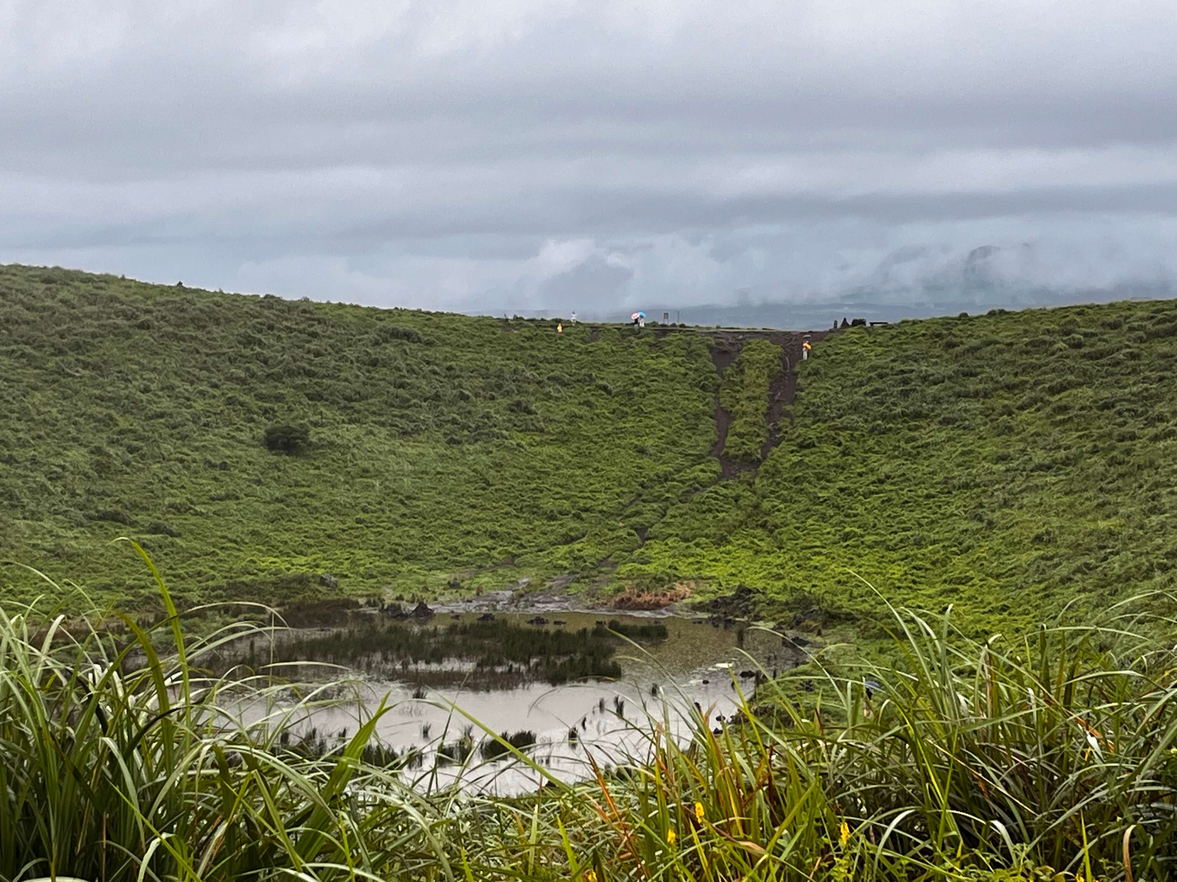 제주도 렌트카 추천 렌트전 체크해야할 사항