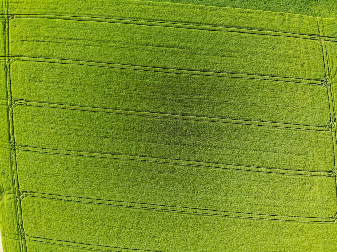 Greening