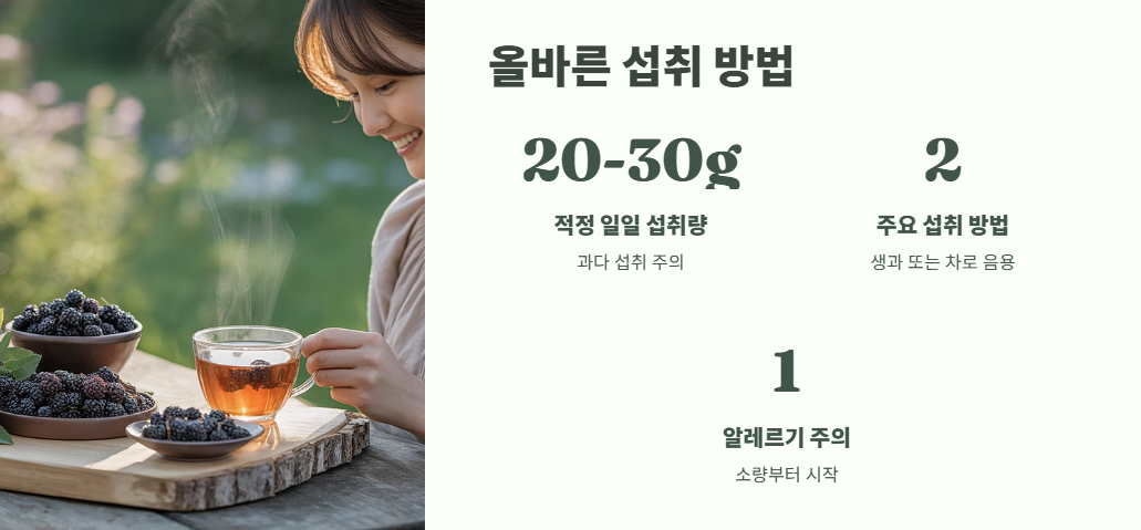 보리수 열매 효능 쉽게 정리 10