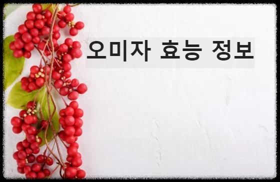 오미자 효능