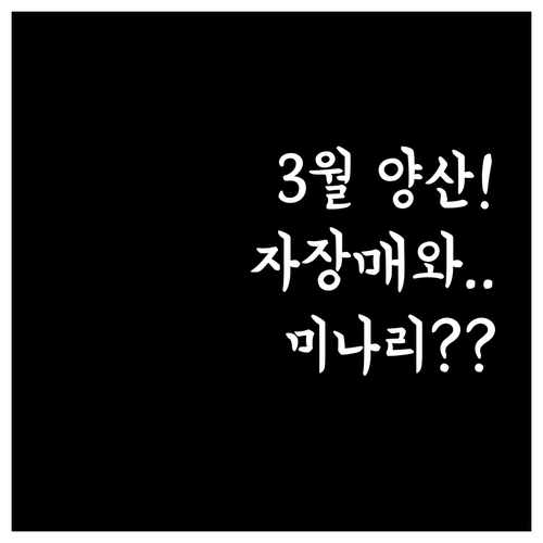 세계문화유산 통도사 자장매와 원동 미..