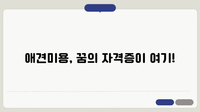 김포 애견미용사 자격증 한국애견연맹 알아봅니다