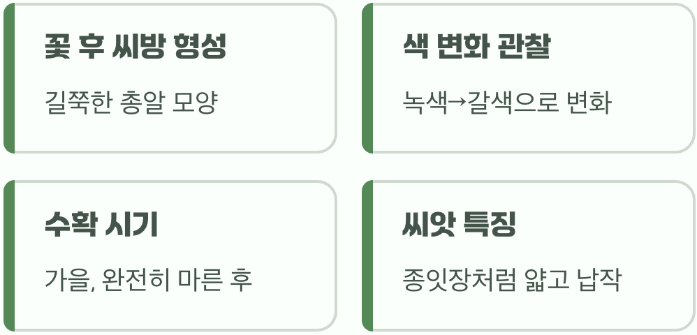 꽃이 남긴 선물, 씨앗 거두기