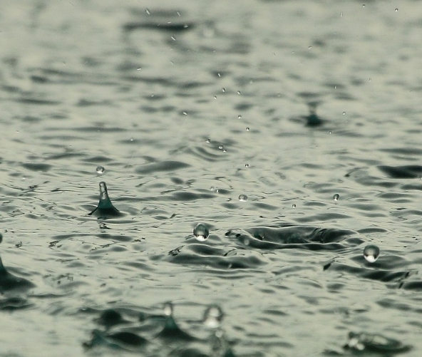 To clean a dehumidifier