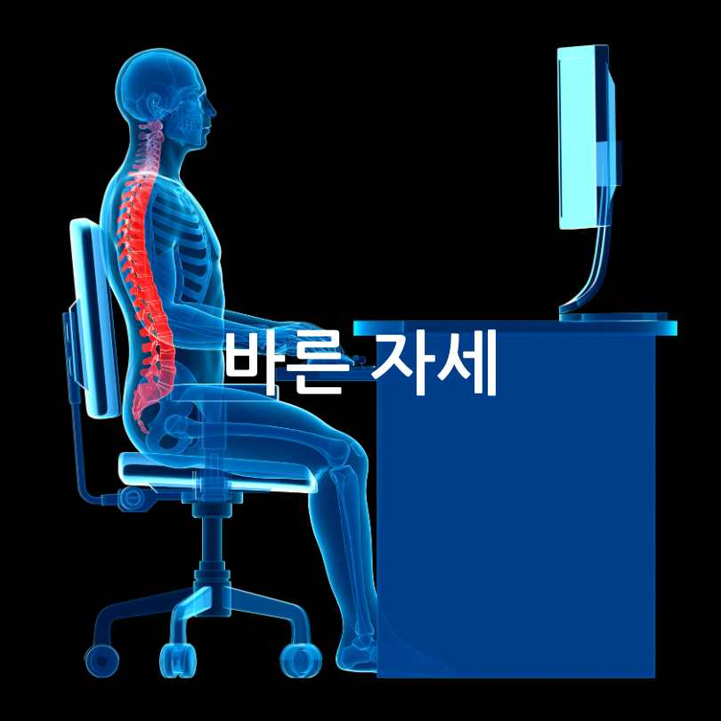 뼈튼튼운동법
