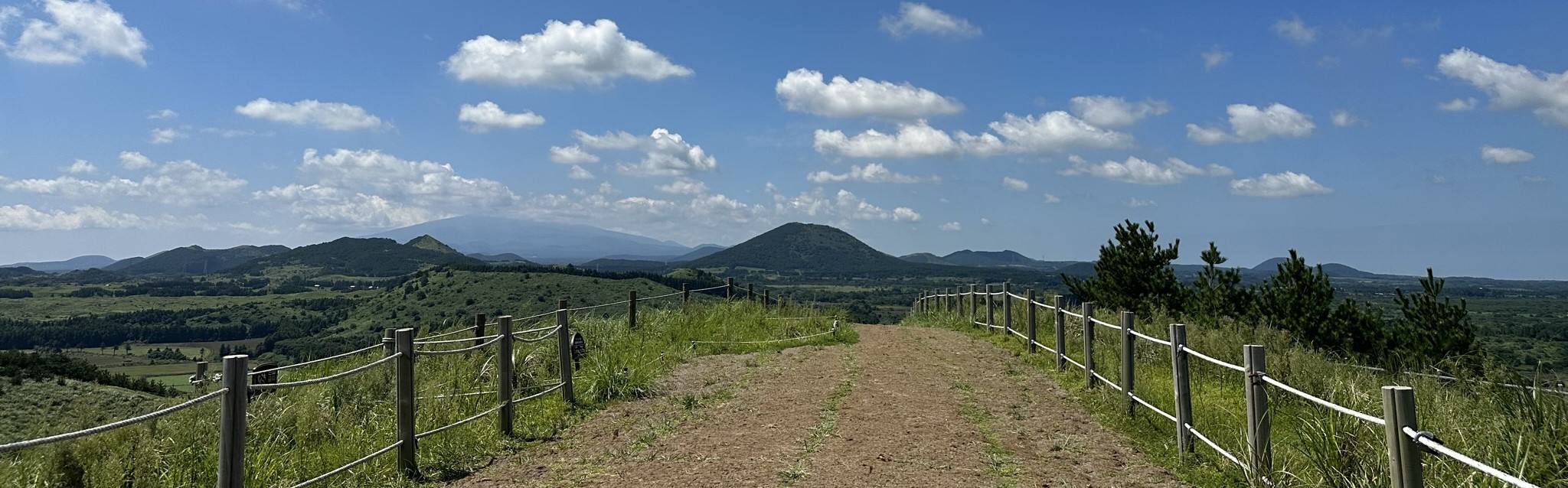 용눈이오름 정상