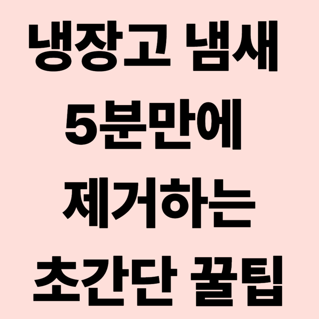 냉장고냄새제거