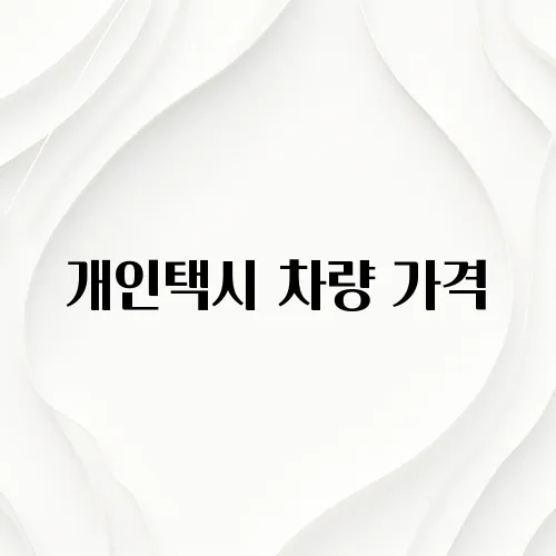 개인택시 차량 가격