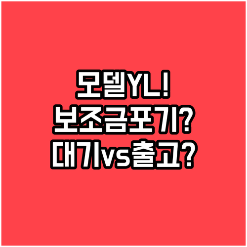 모델Y L 보조금 포기 vs 대기 선..