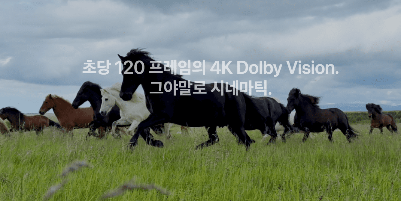 아이폰16 프로 돌비 비전 추가 기능