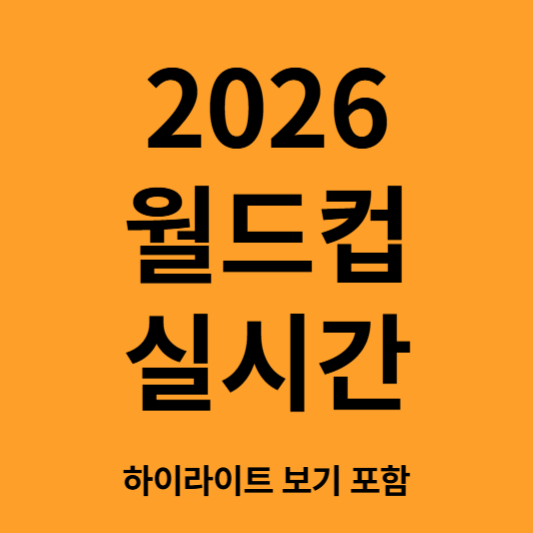 월드컵 실시간보기
