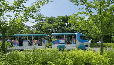 코끼리열차 사진