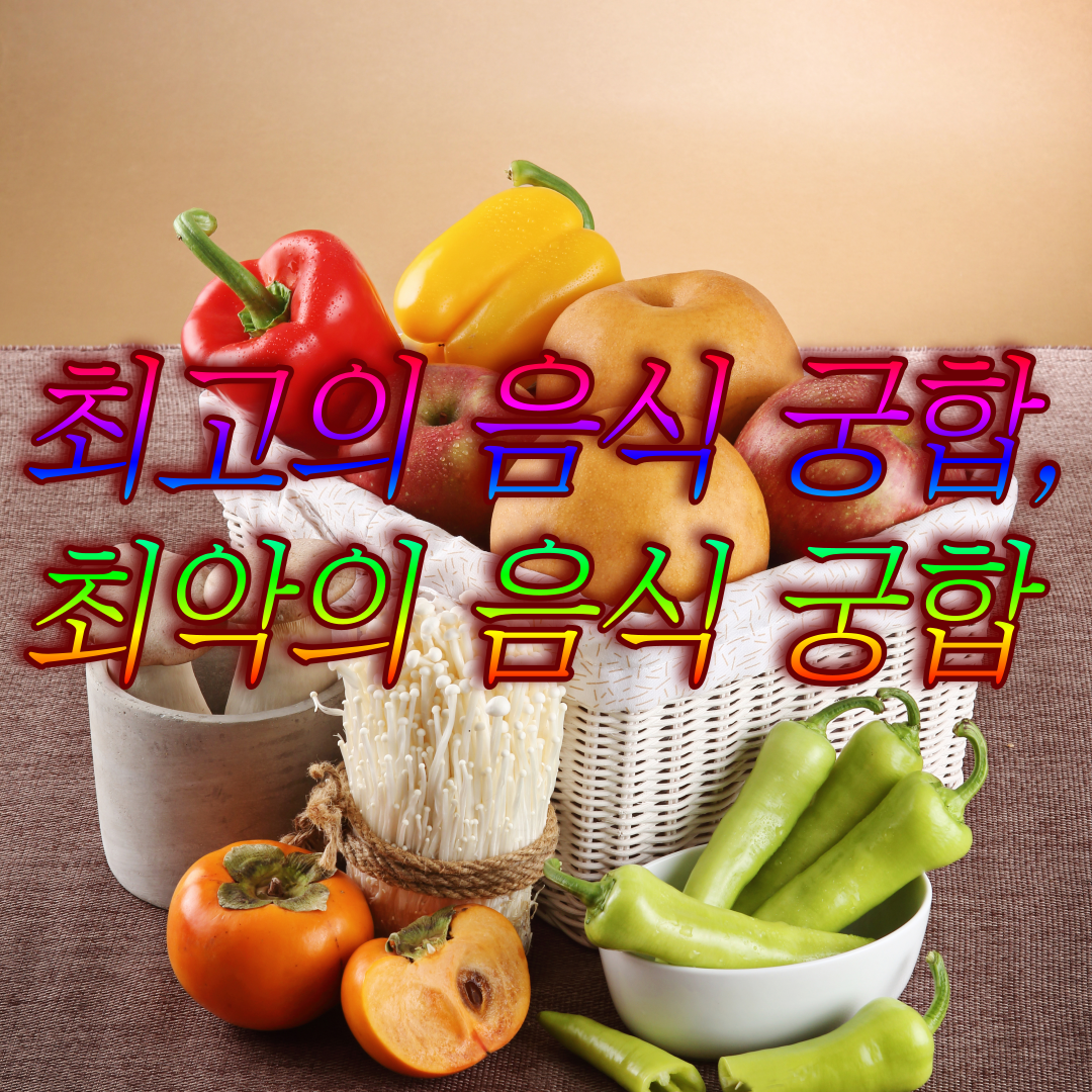 음식 궁합