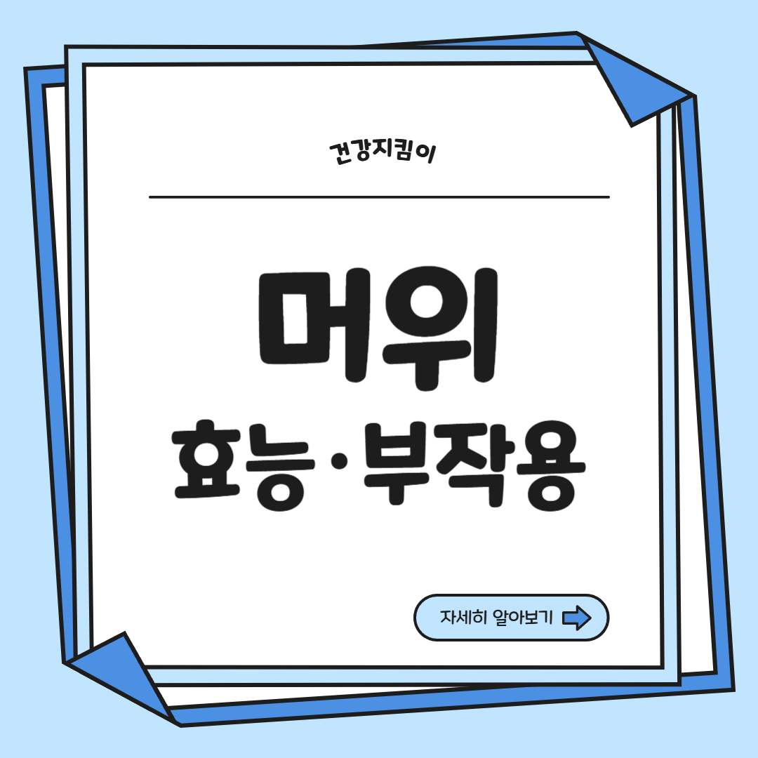 머위 효능과 부작용 고르는법 먹는법 칼로리