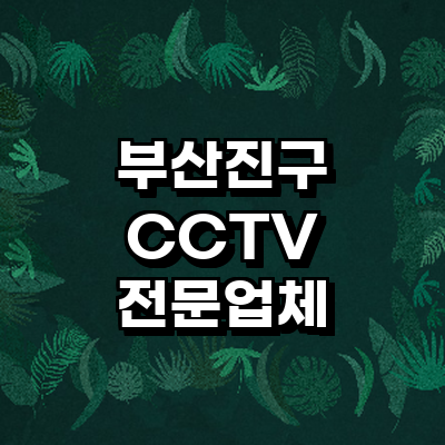 부산 부산진구 cctv