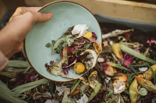 쓰레기 분리배출