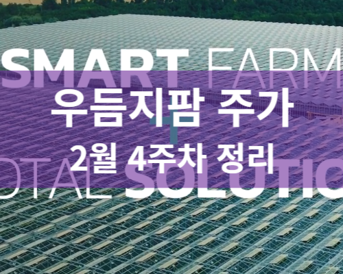 우듬지팜 주가분석 전망