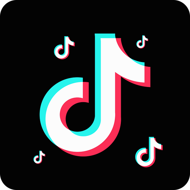 틱톡(TikTok) 개인정보 보호 설정법 완전 정복