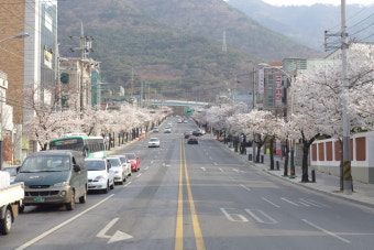 대구 관문시장에 있는 할매집식당