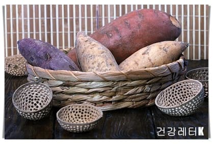 고구마 5