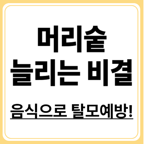 탈모에 좋은 음식! 머리카라 자라는 음식,탈모에 효과적인 단백질 음식