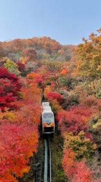 2025년부터 화담숲 예약하기