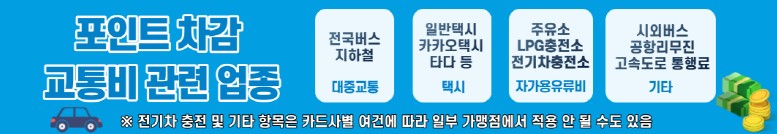임산부-교통비-지원금-사용-관련-업종
