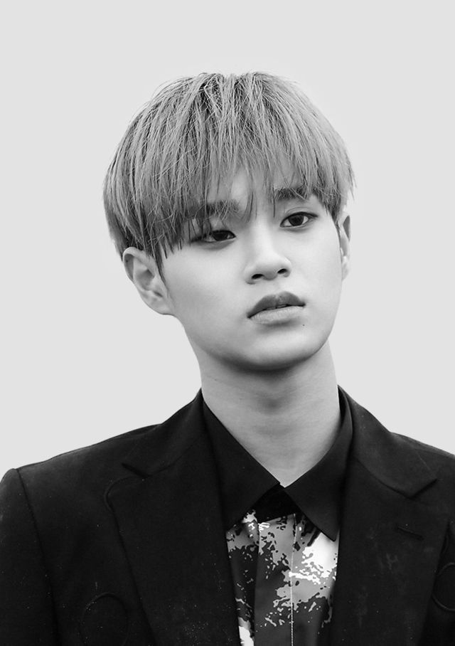 워너원 고화질 사진