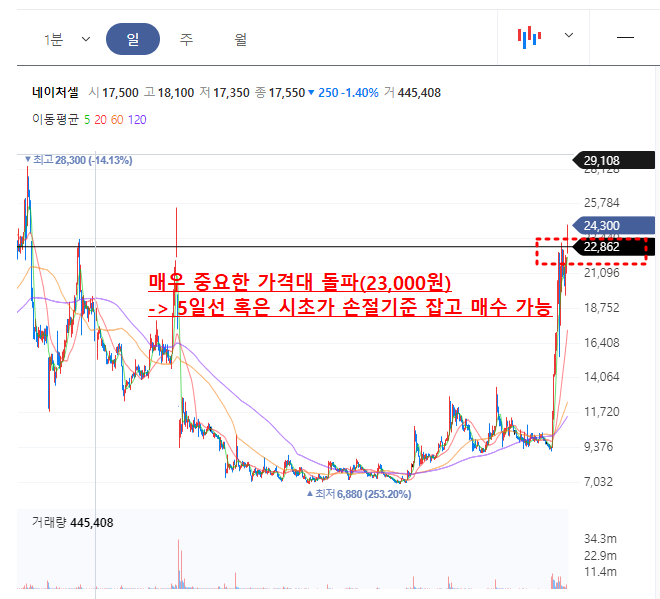 네이처셀 일봉차트