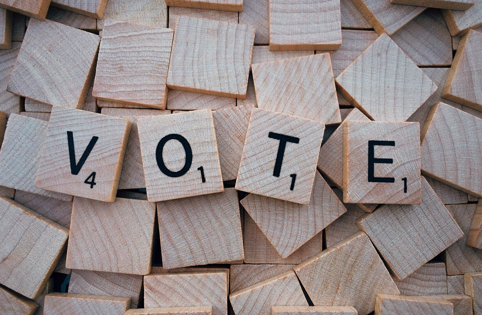 국회의원 선거 사전투표 일정 및 장소 확인