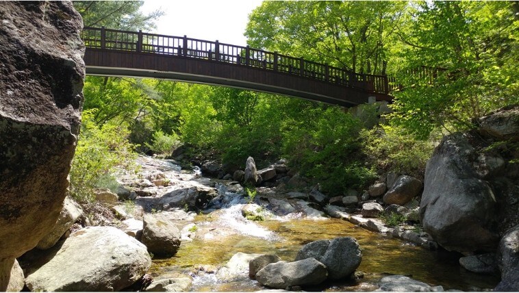 황정산자연휴양림 여름사진