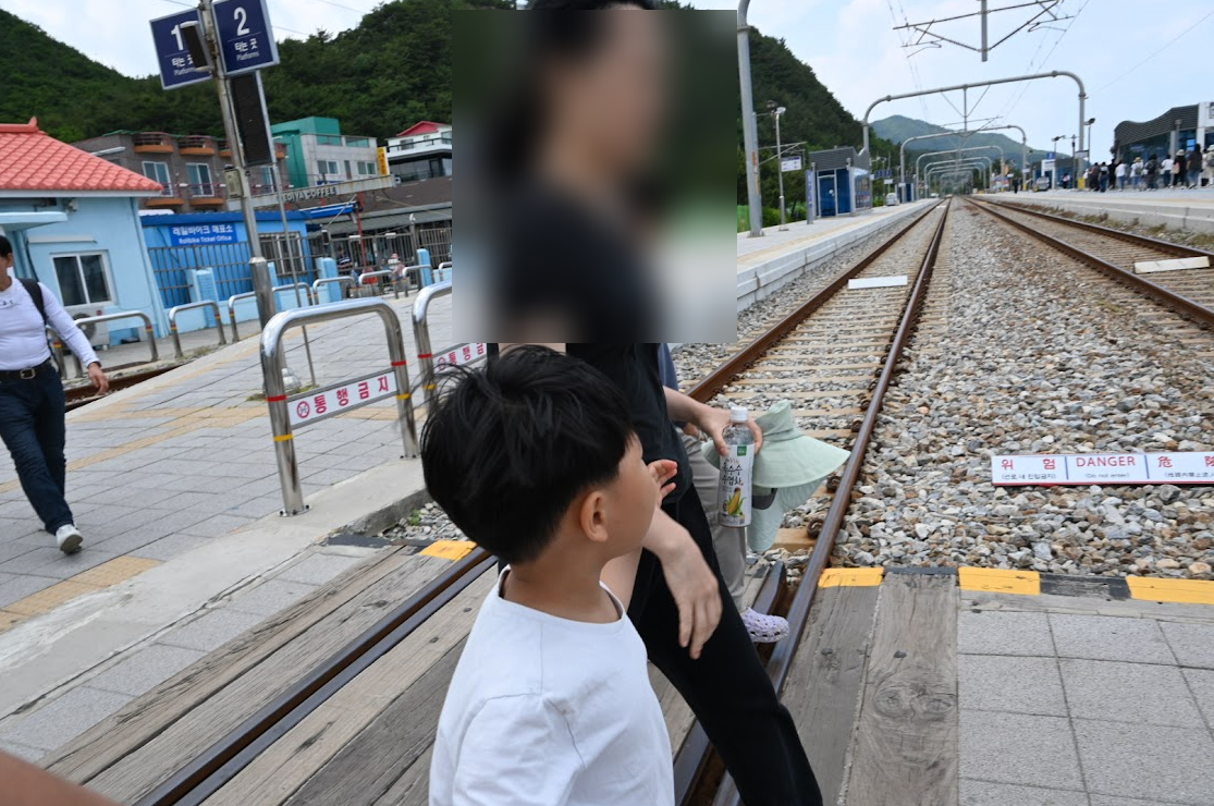 강릉 정동진 레일바이크 전동이라서 편하게 바다구경 할수 있어. 사진 3