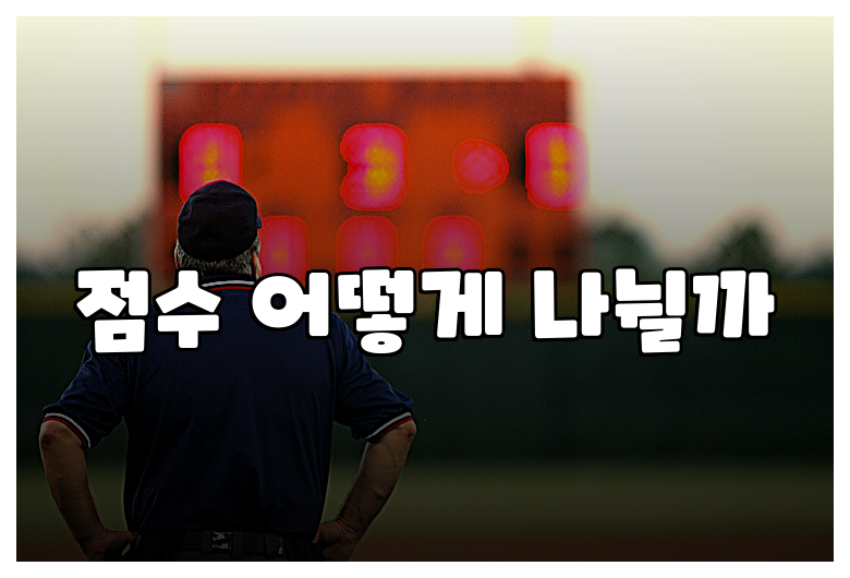 점수 어떻게 나뉠까