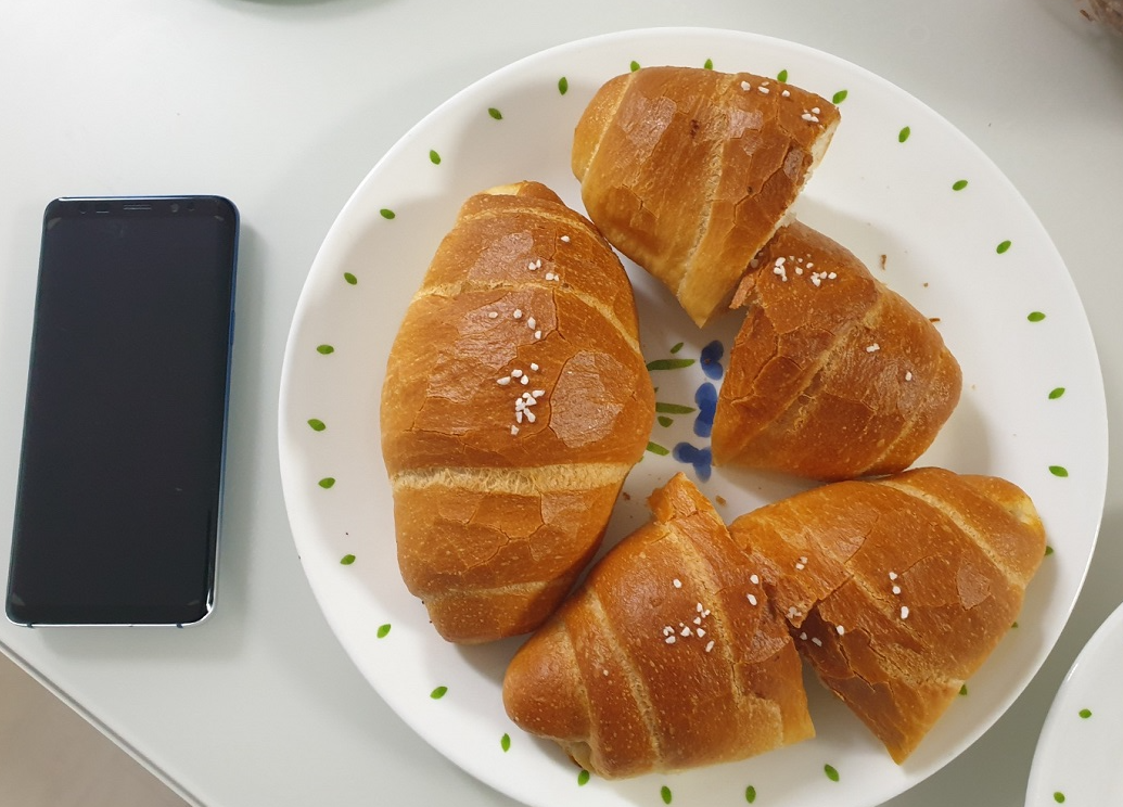 빵 크기 비교