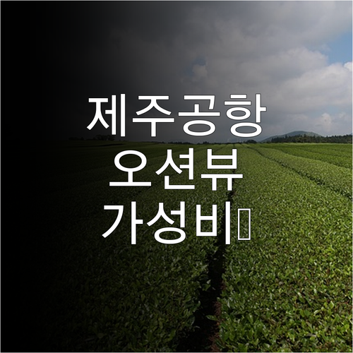 제주 공항 근처 가성비 호텔 오션뷰 ..