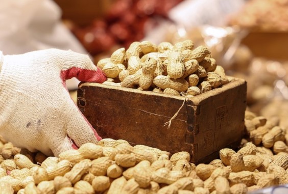 정월대보름 부럼의 의미와 종류