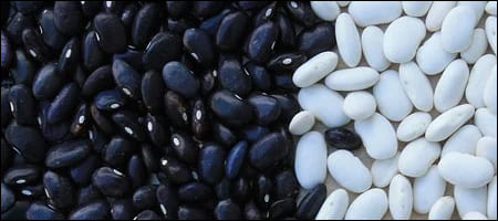 검은콩&amp;#44; 흰콩