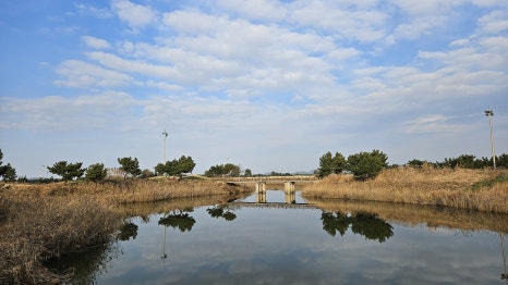 골프장 경험담 군산 군산cc 한국 골프 여행의 랜드마크 방대한 코스&amp;#44; 물을 적극 활용한 설계&amp;#44; 프로 대회급 코스