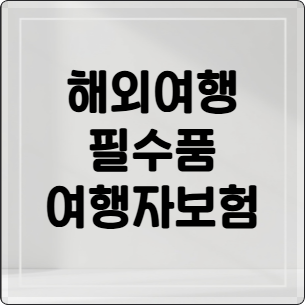 단기 해외여행자보험 추천