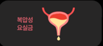 요실금_수술_후_회복기간_부작용_비용_보험적용여부