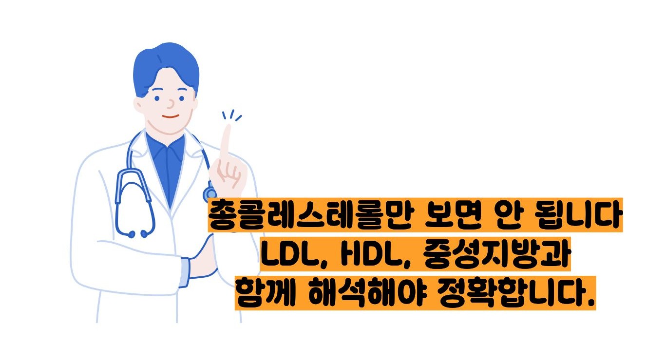 총콜레스테롤 정상수치