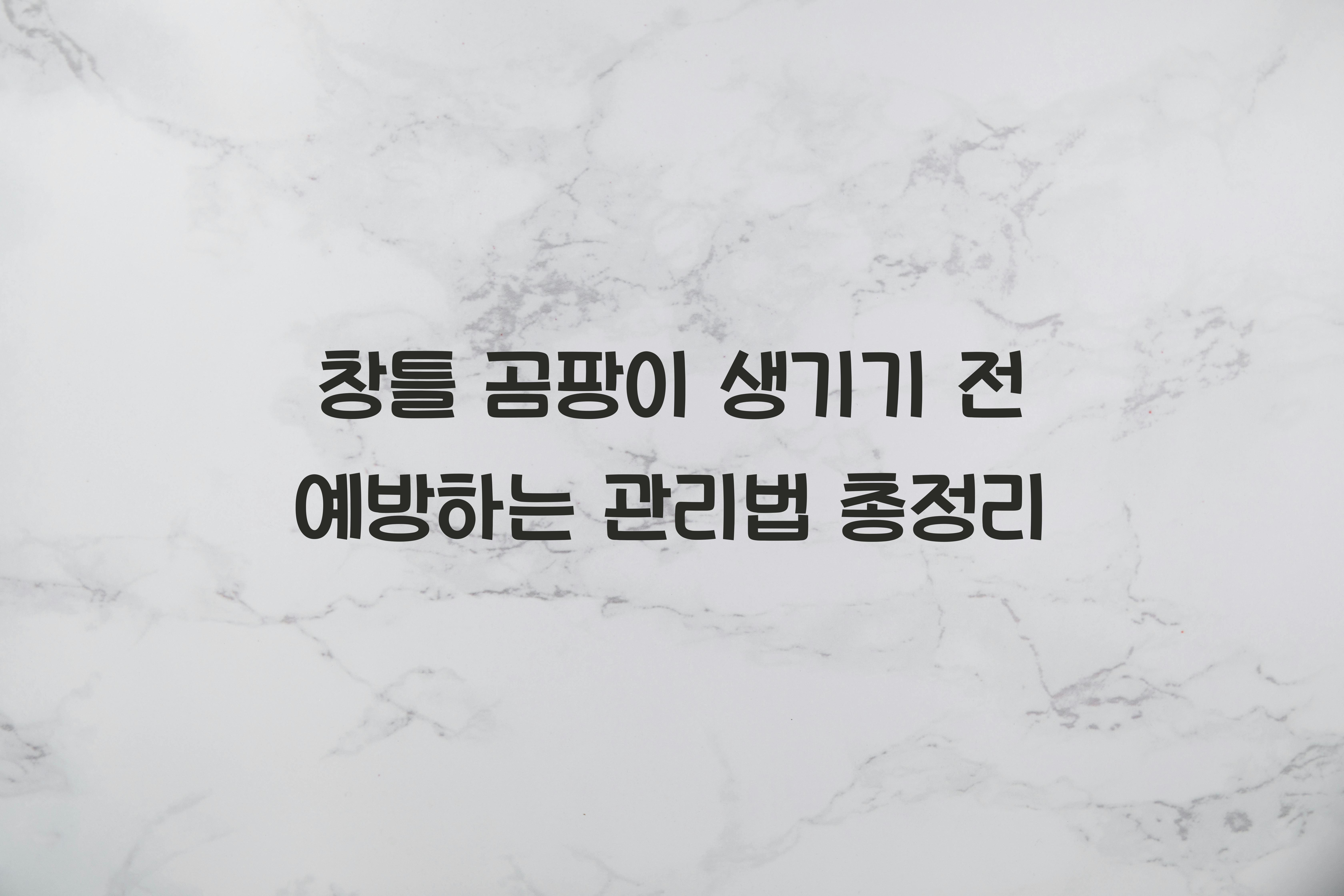 창틀 곰팡이 생기기 전 예방하는 관리법