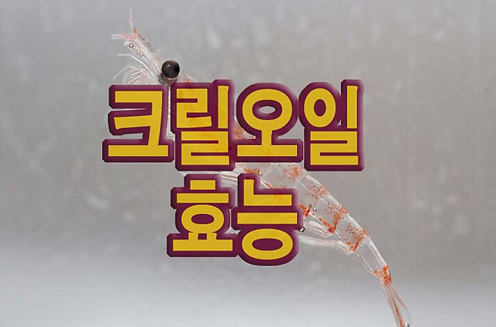 크릴오일-효능